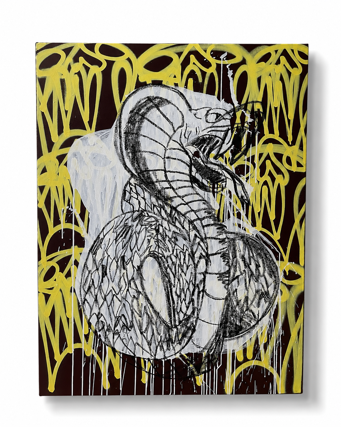 Znake